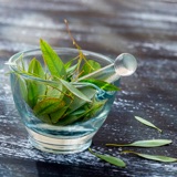 Olejek z eukaliptusa